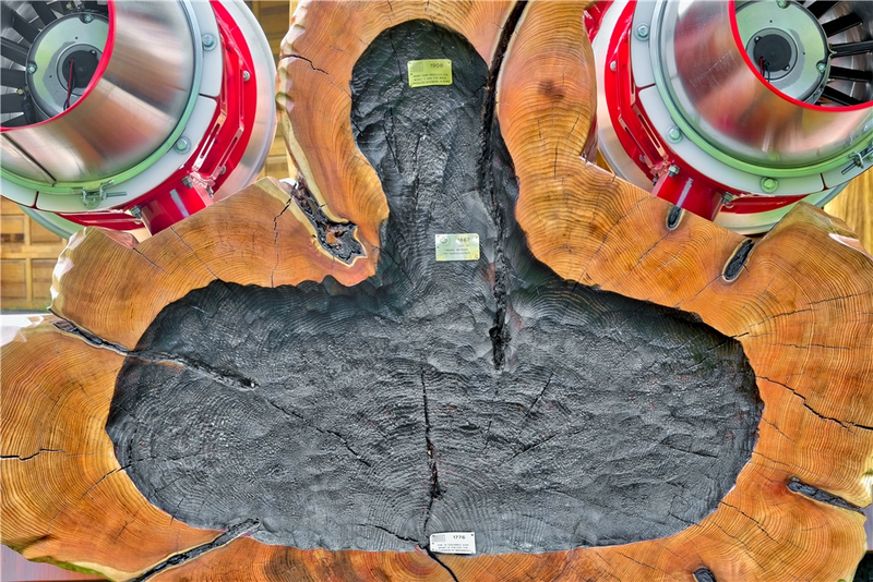 Illustration for article titled Here's Your Chance To Buy The World's Fastest Motorized Log